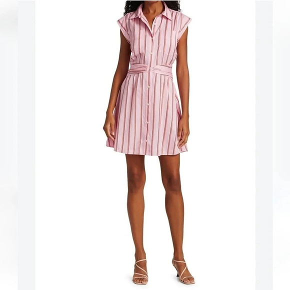 Derek Lam 10 Crosby Pink Striped Fit and Flare Shirt Dress Gathered Waist 6 - Picture 15 of 15